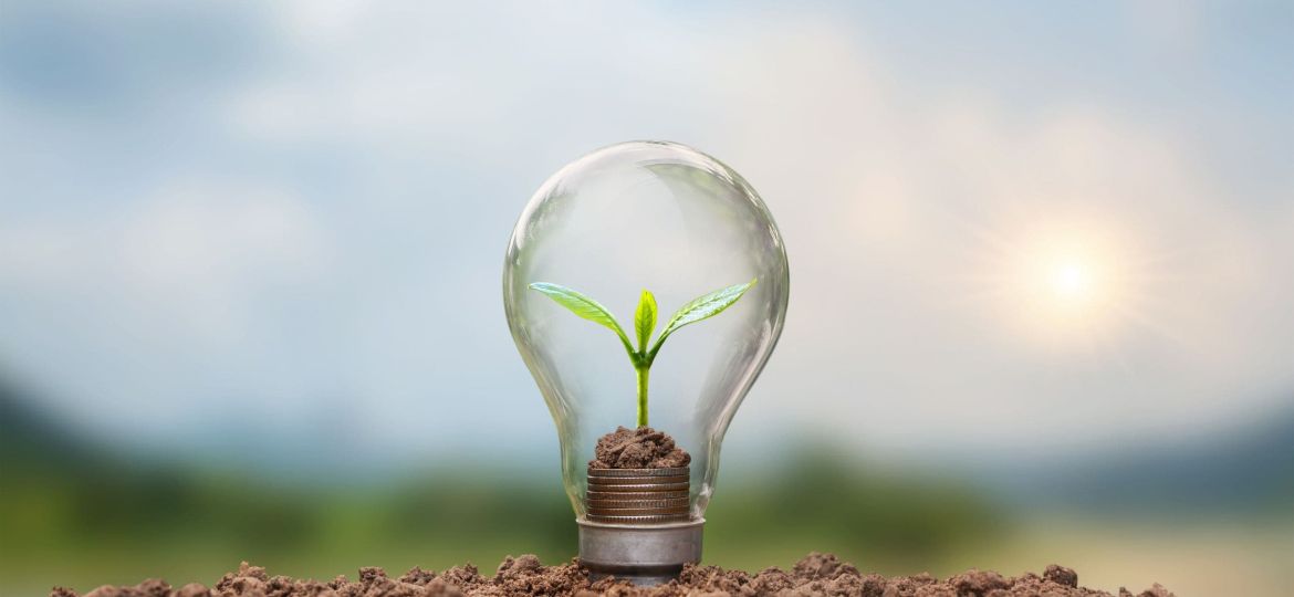 The tree grows with gold coins in energy-saving lamps. Energy saving and renewable energy concepts