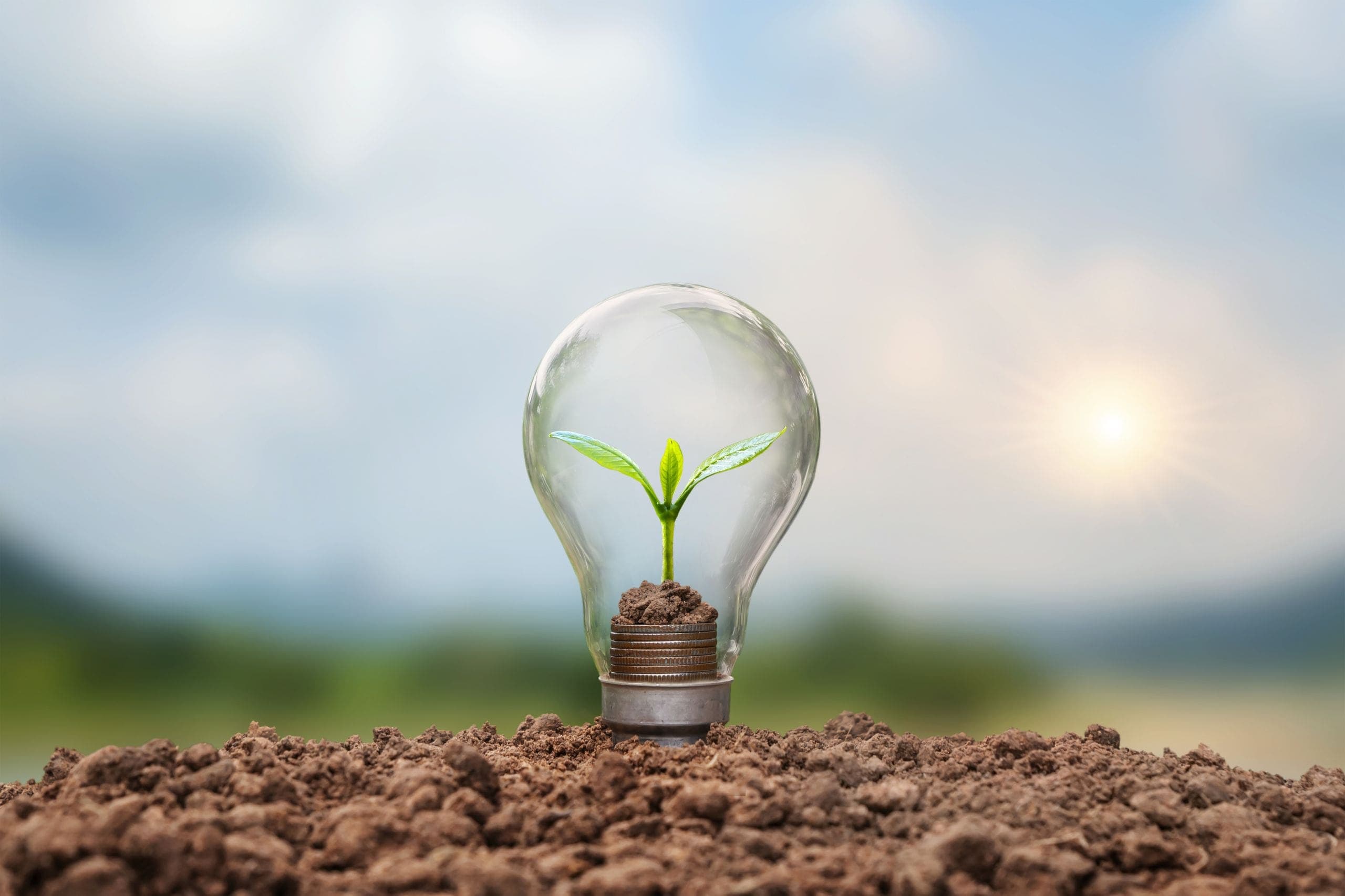 The tree grows with gold coins in energy-saving lamps. Energy saving and renewable energy concepts